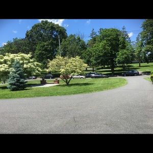 Meet your Posher, Lynette